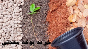 پوکه معدنی و انواع آن
