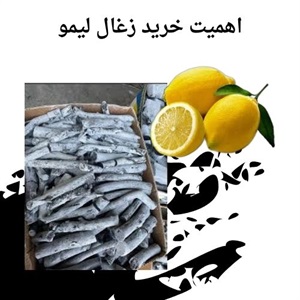 قیمت خرید زغال لیمو